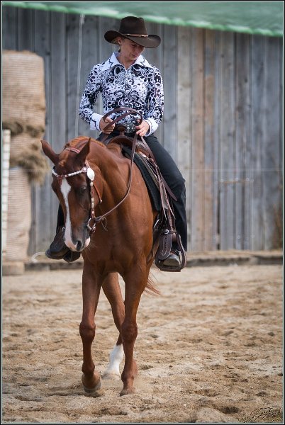 MP Stable30